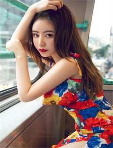 kaixinseqing/丛林之狐中文版