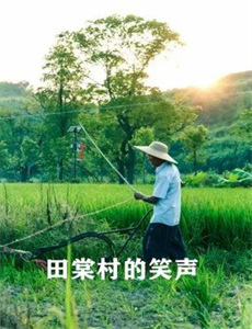 闪婚恋爱进行时