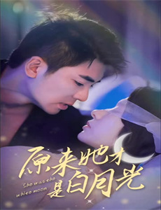 五亿探长雷洛传雷老虎